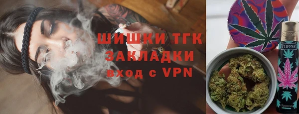 крисы Няндома