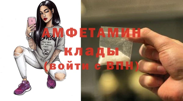 крисы Няндома