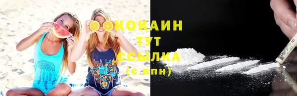 крисы Няндома