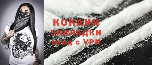 крисы Няндома