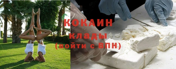 крисы Няндома