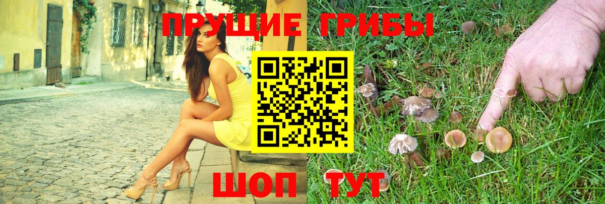 Стрежевой  закладка  Вход с VPN  Галлюциногенные грибы MAGIC MUSHROOMS 
